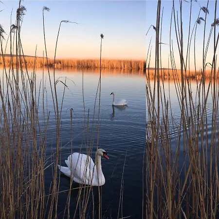 Siedlisko Nad Rozlewiskiem Apartamento *