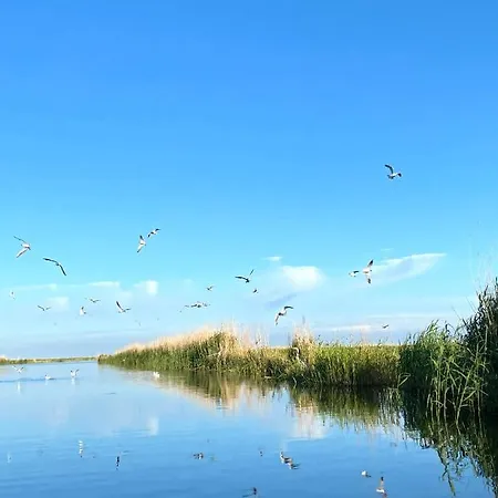 Apartamento Siedlisko Nad Rozlewiskiem *