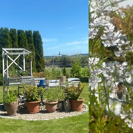 Siedlisko Nad Rozlewiskiem